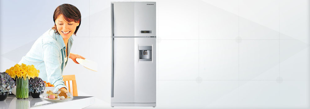 双门冰箱的优点和缺点